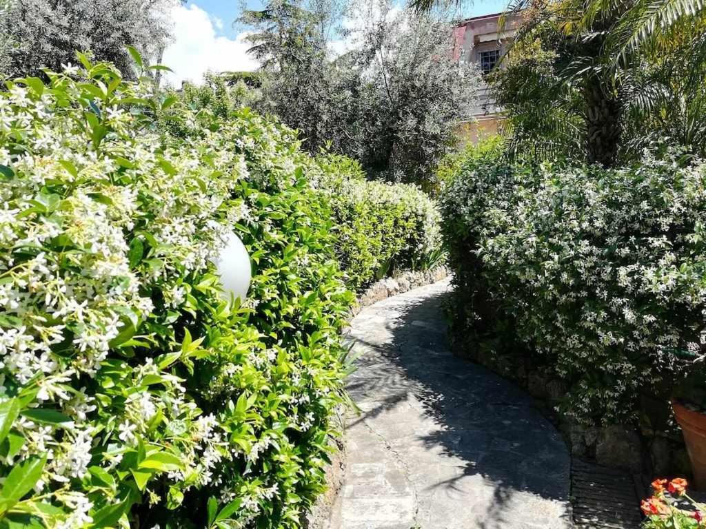 Casa Dinky Attico Con Terrazza Vista Mare Leilighet Formia Eksteriør bilde
